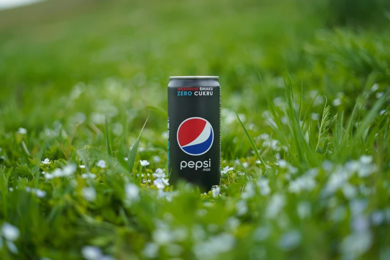 a canned pepsi soda in the grass with daisies in the background