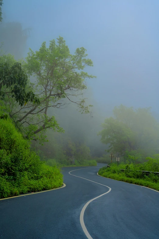 a road with fog and trees along it
