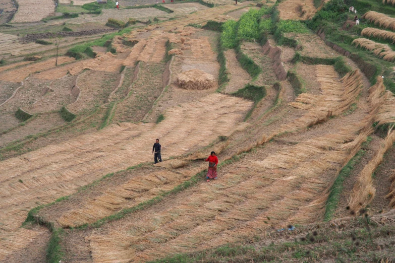 a couple of people walking down a very big field