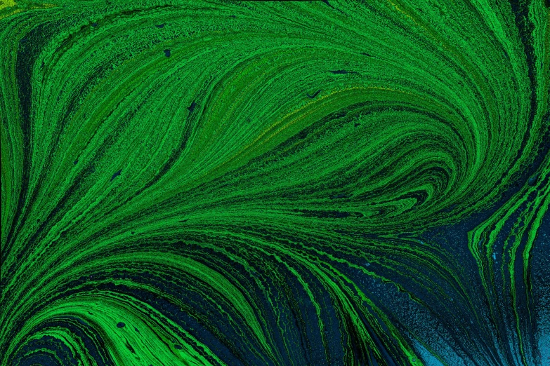 an abstract image of green lines