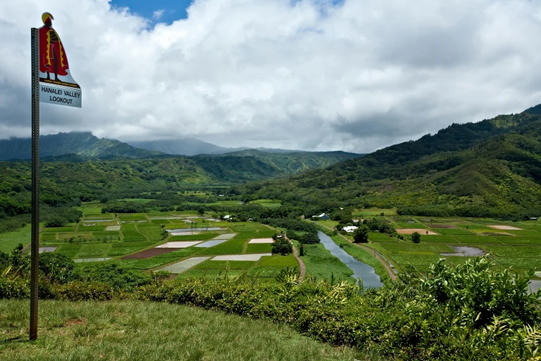 a street sign sitting on top of a lush green hillside