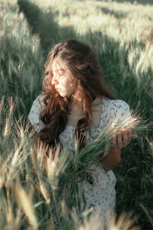 a girl in a field of wheat blowing in the wind