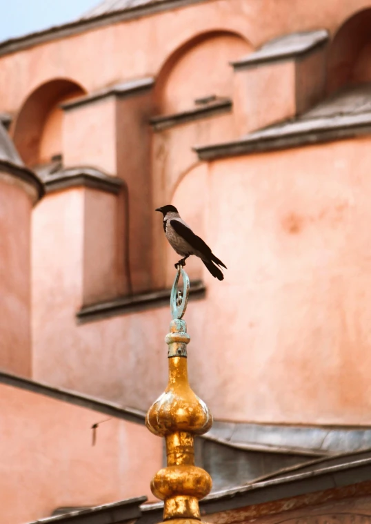 a bird is perched on top of an elaborate golden pole