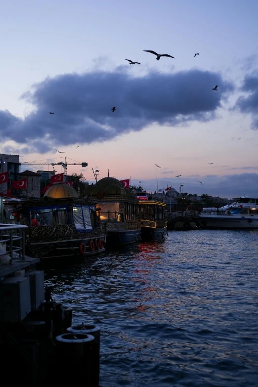 seagulls flying over a harbor area and buildings at dusk