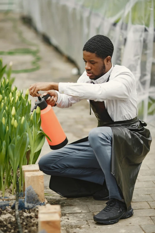 a man that is kneeling down with flowers in hand