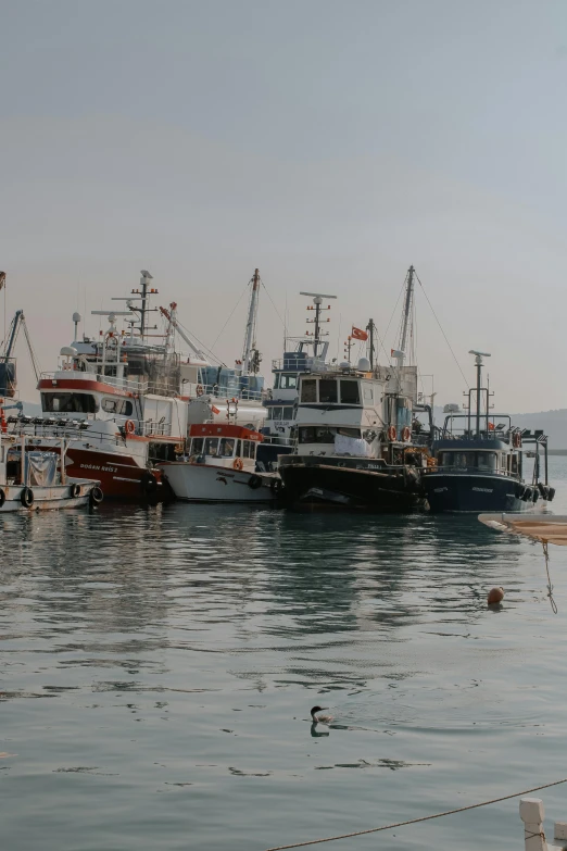 several large boats parked in a dock in the water