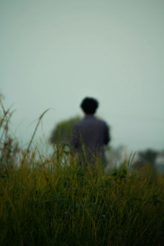 a person standing with his back to us as they walk through tall grass