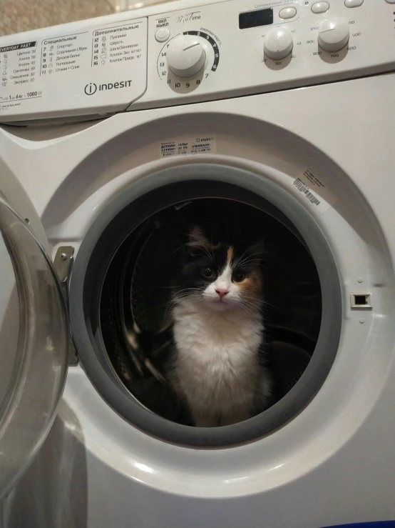 a cat is sitting inside of the front of a washing machine