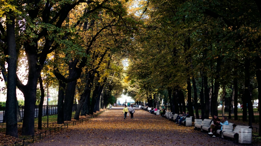 a park lined with trees and benches is shown
