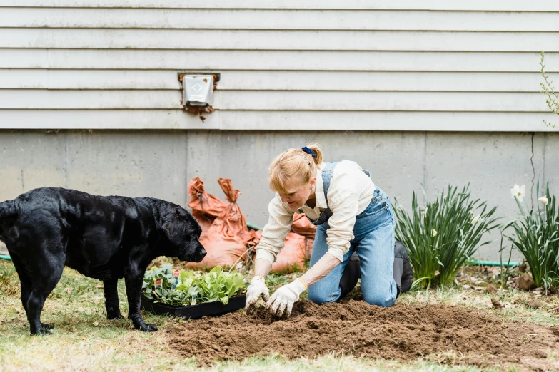 the women is planting a plant in the yard with her dog