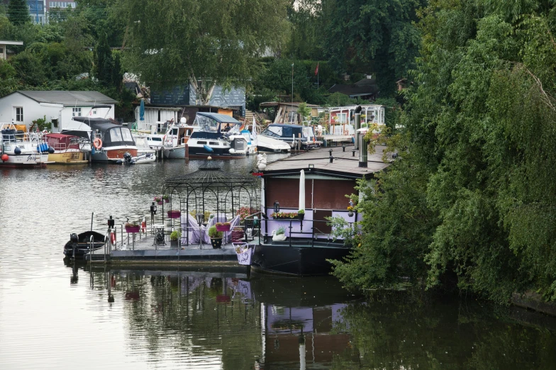 boats are lined up on a marina near a forest