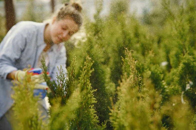 a woman is looking through tall grass at the ground