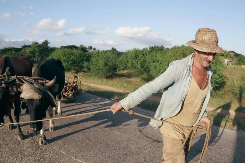 a person with hat pulling a plow next to a horse and steer