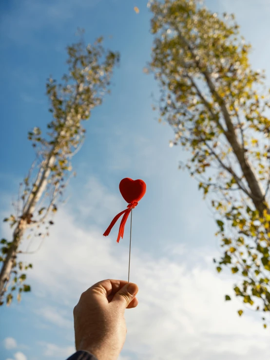 a person holding a heart shaped pin in front of two trees