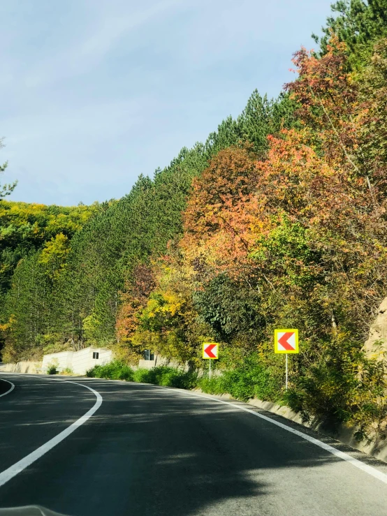 this is an image of a road in the forest