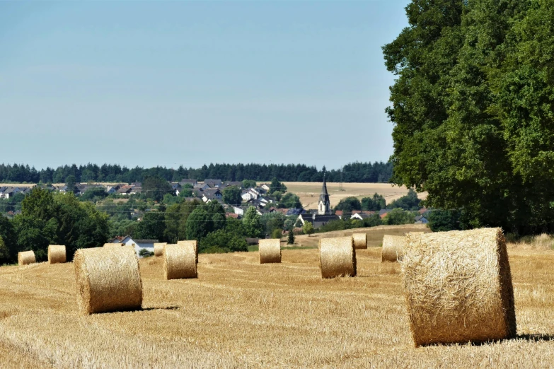 round bales in the fields near a village
