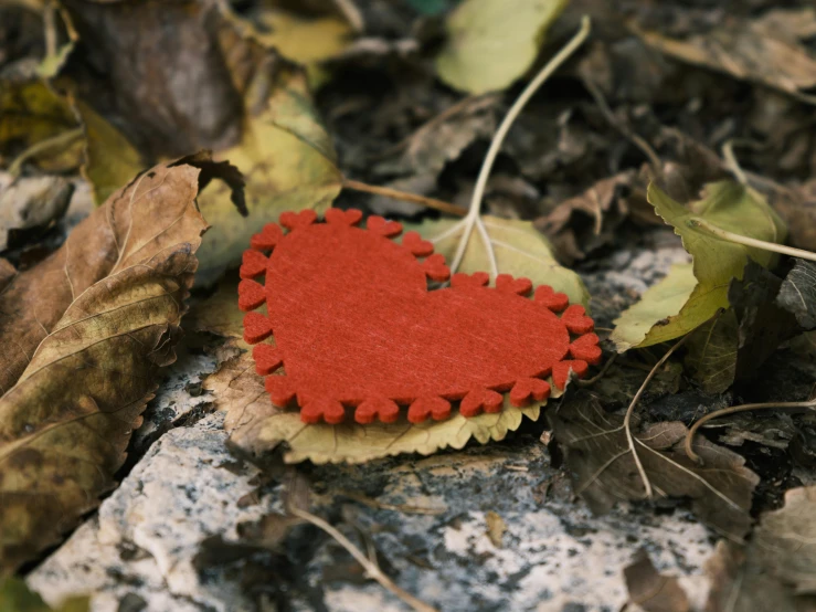 a heart shaped piece of red wool sitting on top of leaves