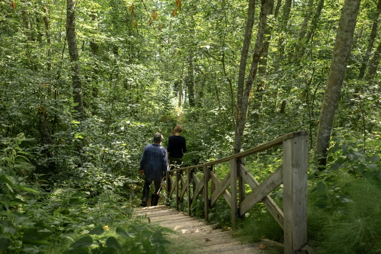 two people walking on a path through the woods