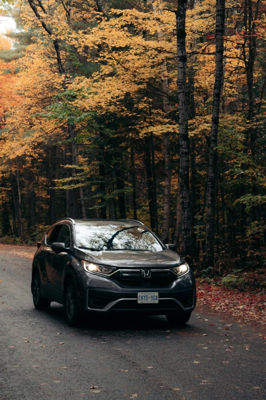 a car on the side of the road near some trees