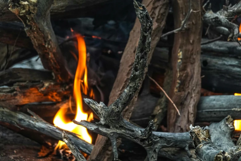 a burning object is next to tree nches