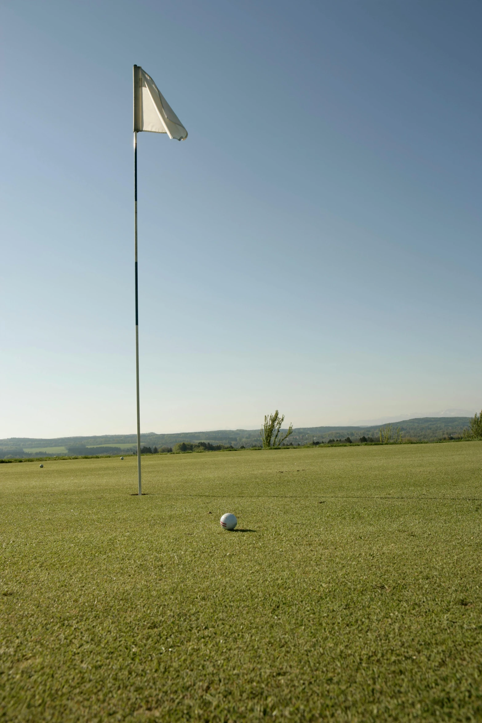 the golf ball is near the flag pole