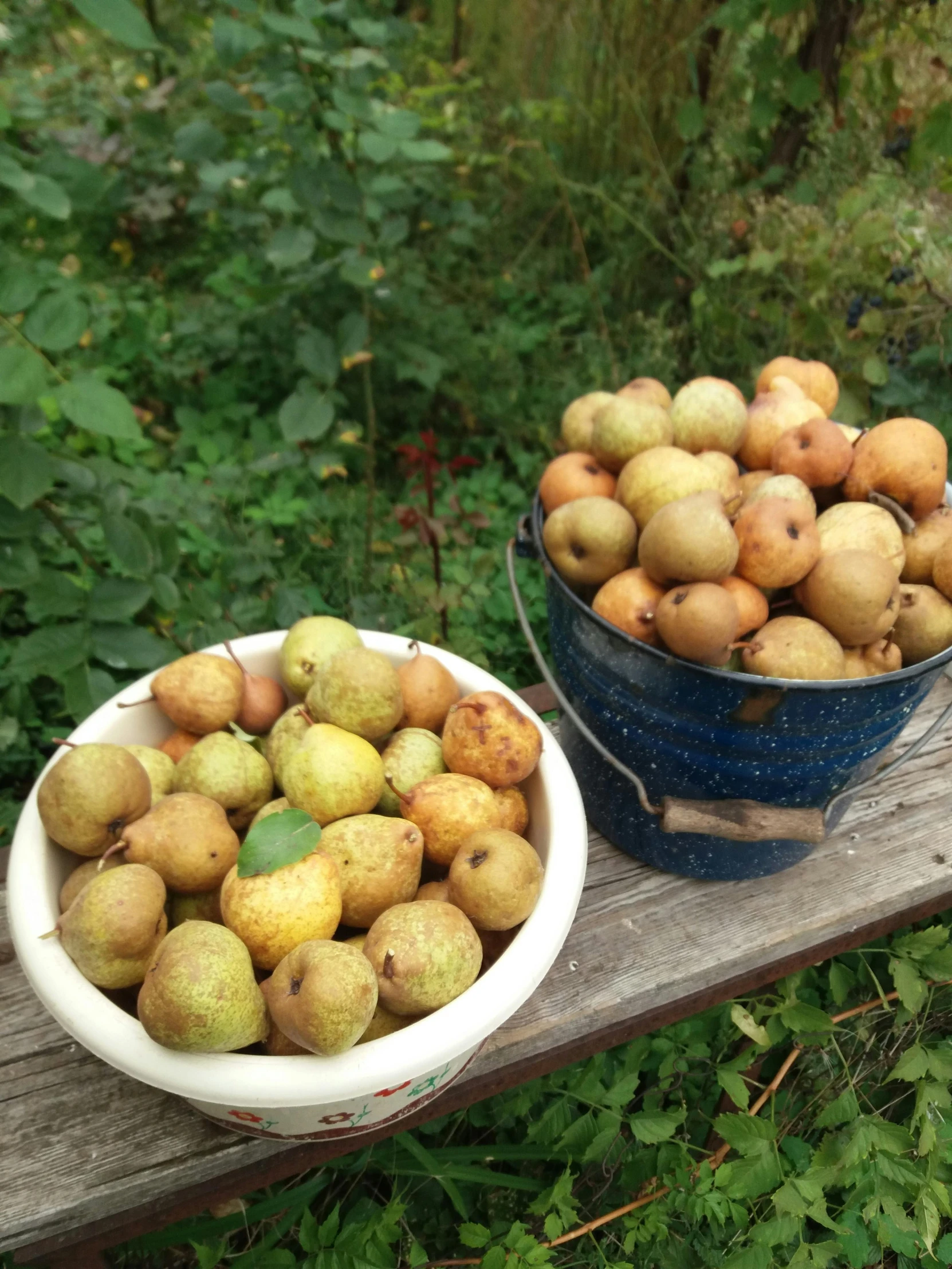 there is a bowl of apples and a bowl of apples on the bench