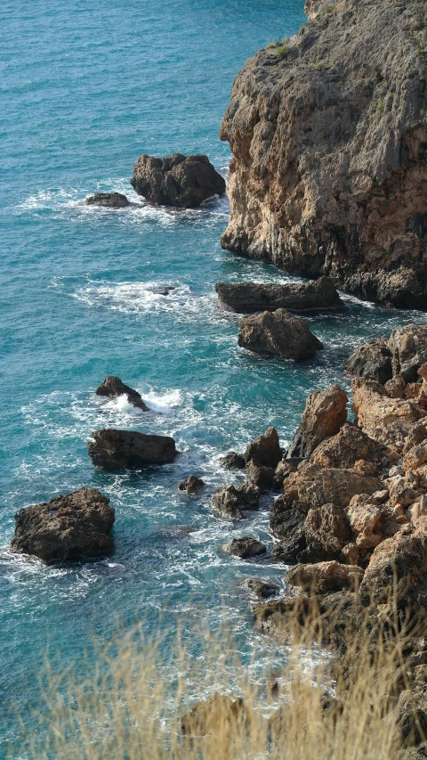 the ocean with rocky shore and sea gulls