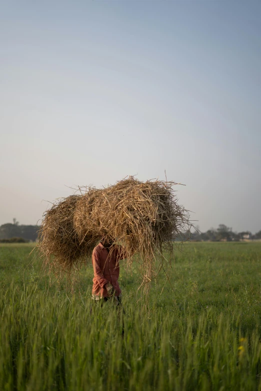 a person with a large stick of hay on top of a field