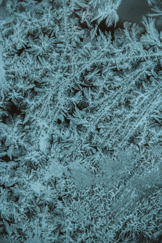 this is an image of frost on the windows