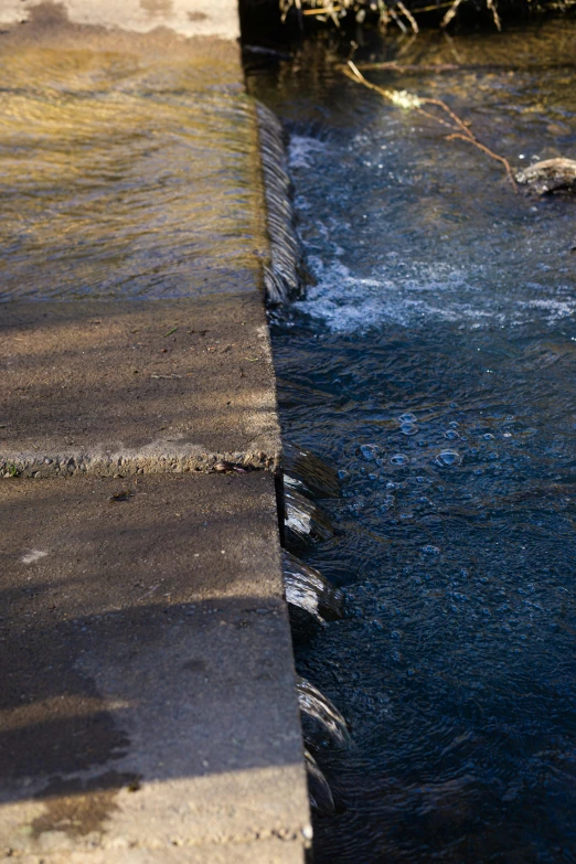 two birds are standing on the edge of a pool of water