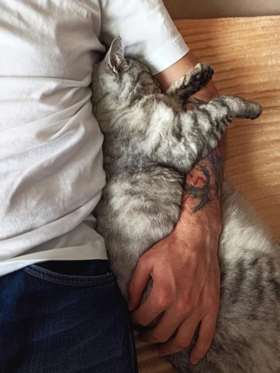 man holding a grey and white cat in his arms
