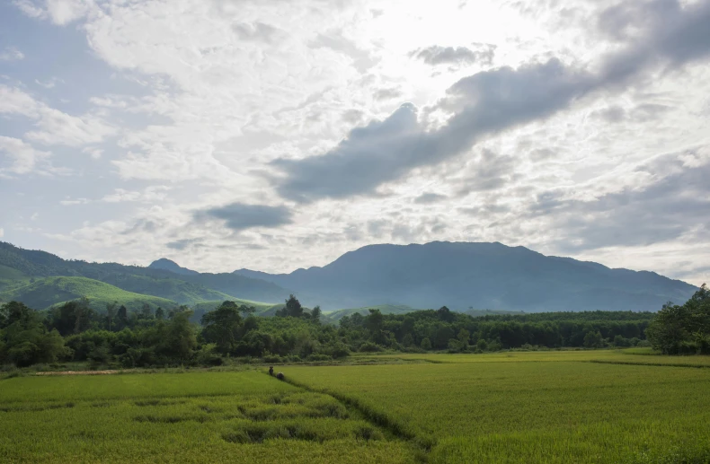 a mountain range in the distance with lush green fields