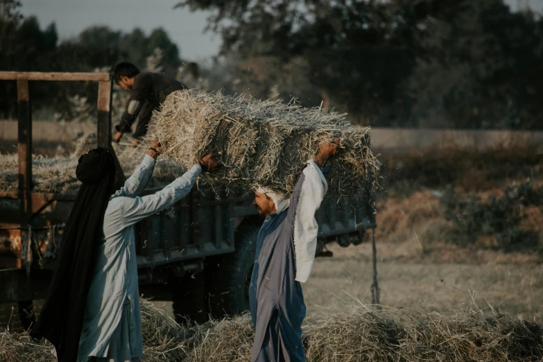 the men are carrying hay out of the back of the truck