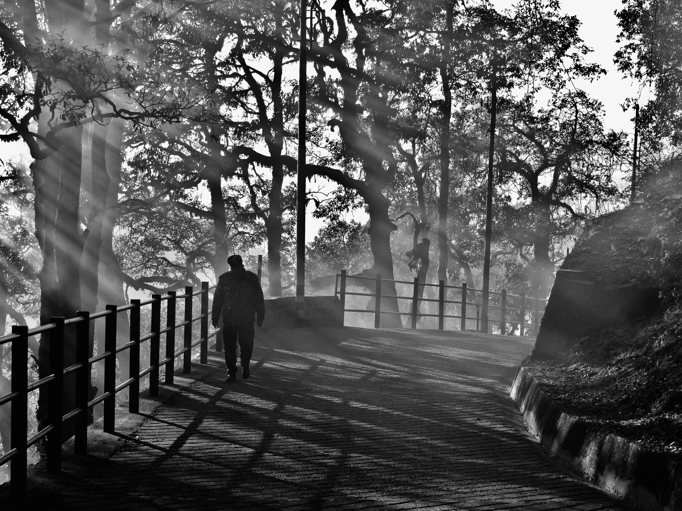 black and white pograph of a person with a foggy park