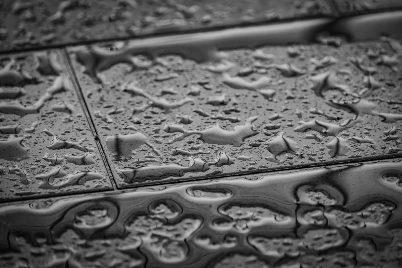 black and white pograph of water droplets on a tile wall