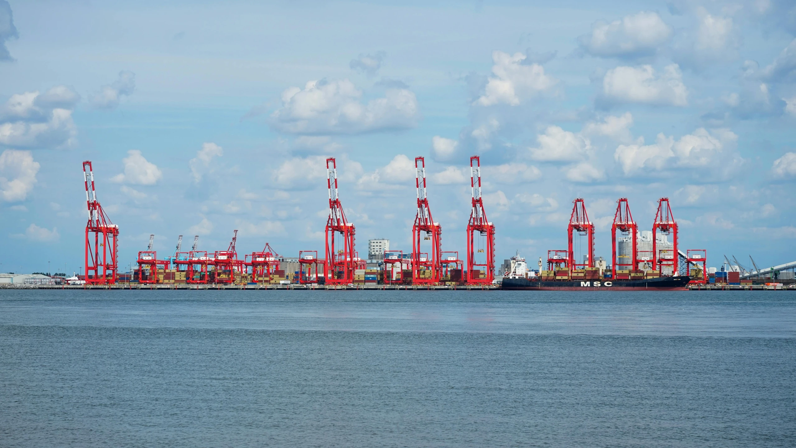 red cranes in the middle of a large body of water