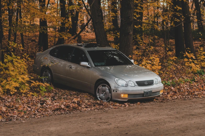 an suv parked next to an area of brown leaves