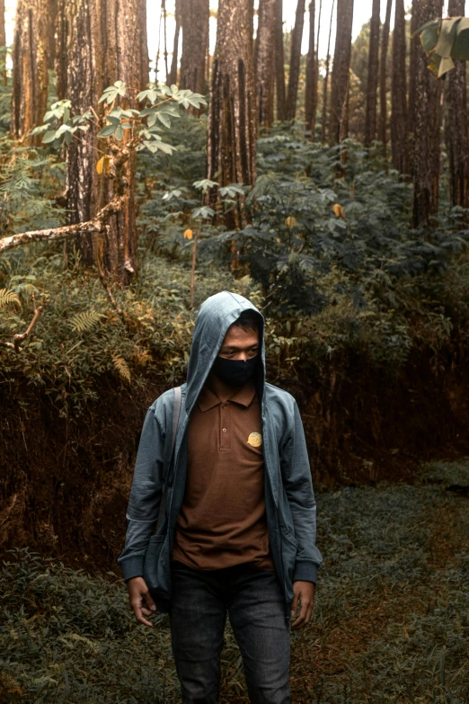 a man standing in front of a forest with lots of trees