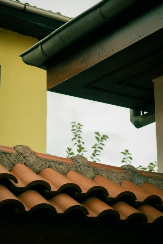 an image of red clay tile roof with building in background