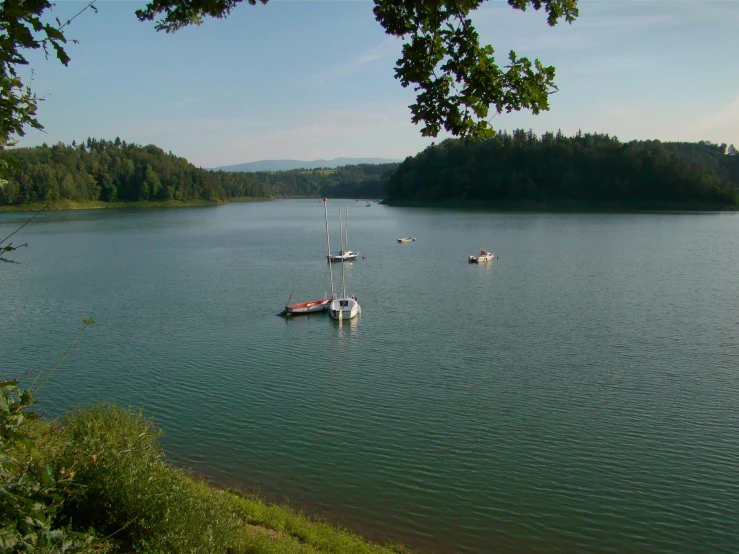 several sailboats out on the water in the sun