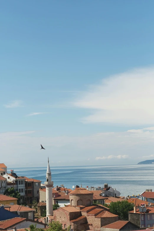 a bird flying above a town with water in the background