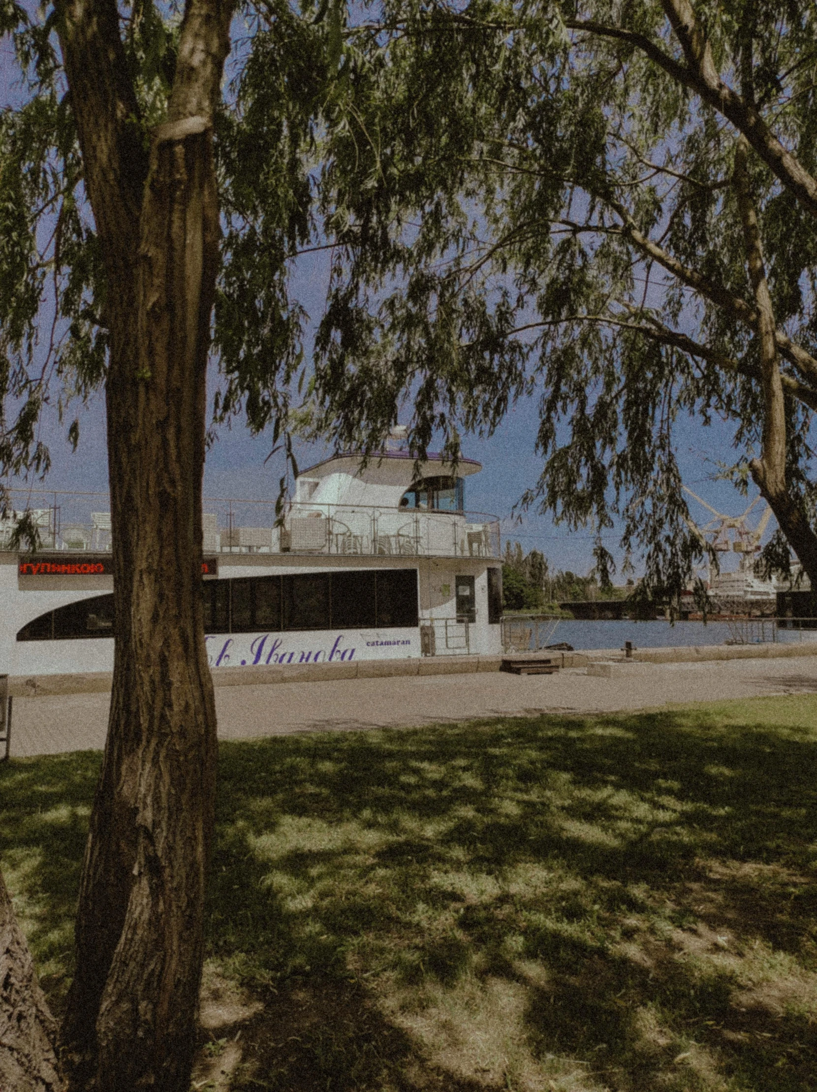 trees in front of boat on river during daytime