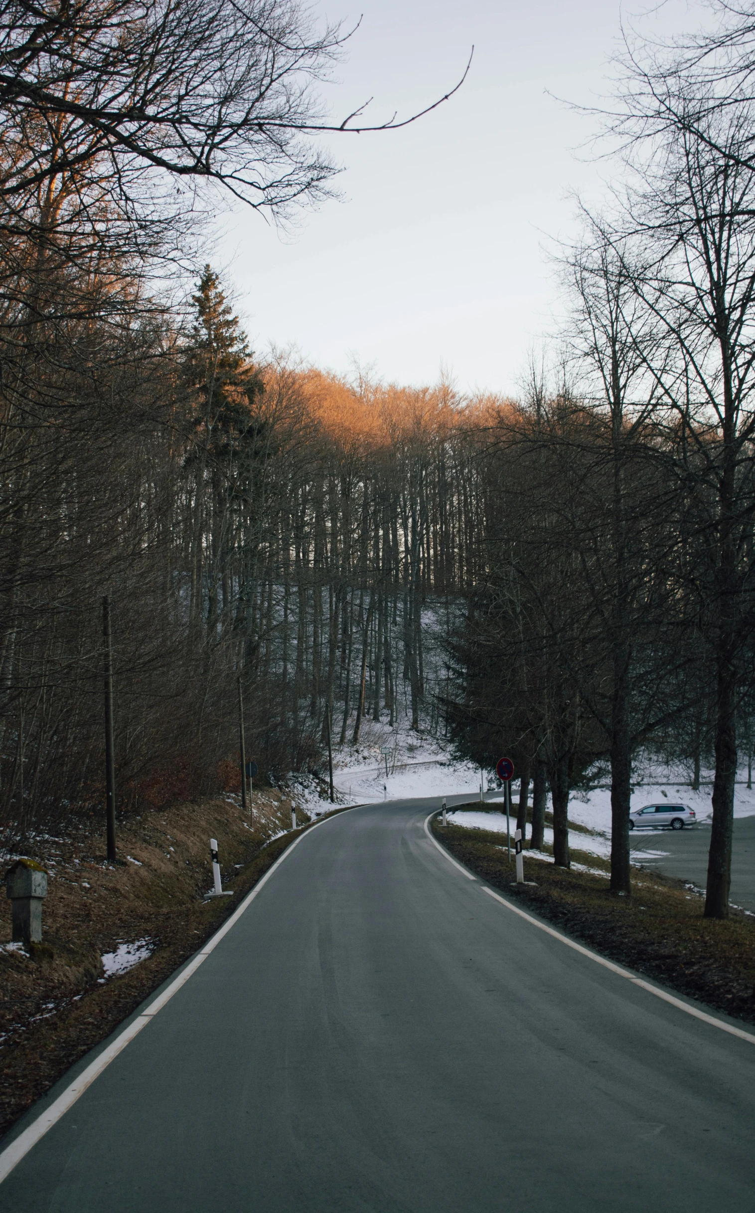 a road through some trees is shown