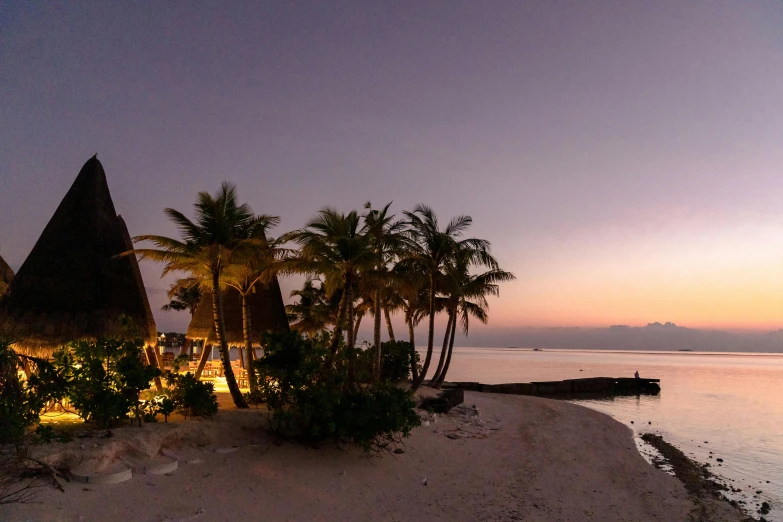 the beach is empty and filled with palm trees