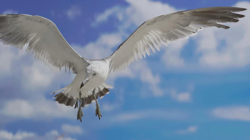 the large white bird has its wings spread open