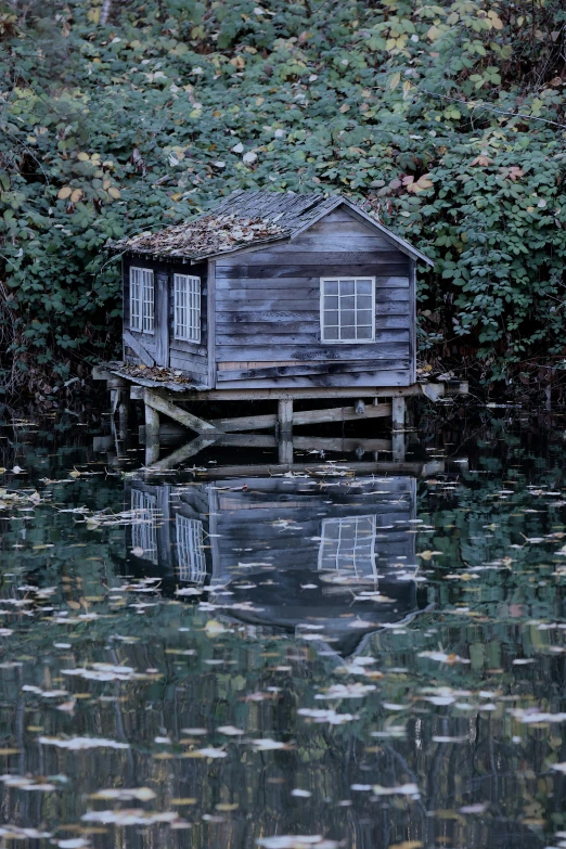 a cabin on the water, with it's roof partially covered by moss