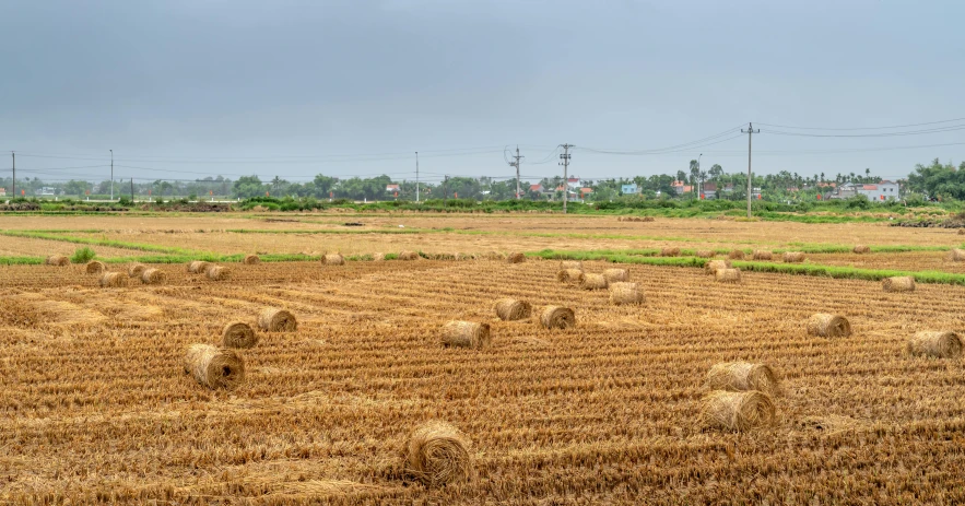 a field of hay with several stacks of round bales