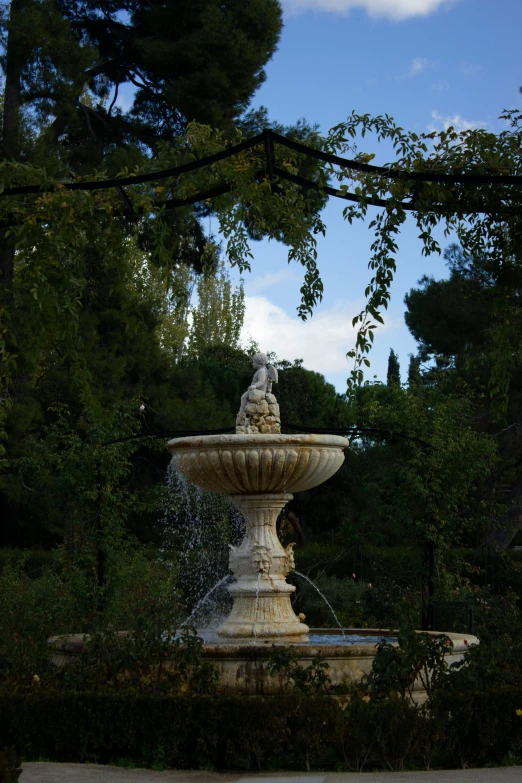 a white water fountain surrounded by greenery