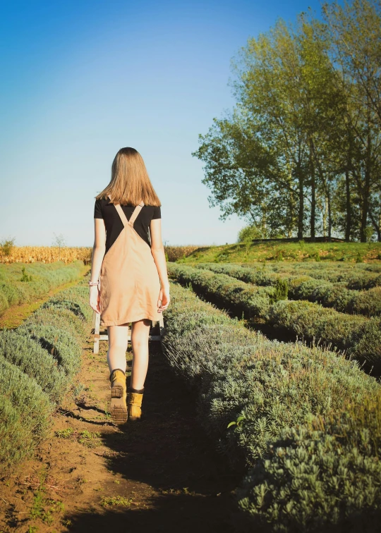 the girl is walking through the lavender field