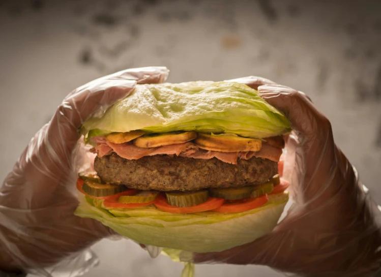 a close up of a person holding a hamburger